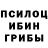 Псилоцибиновые грибы Magic Shrooms Hokimbek Sanjarov