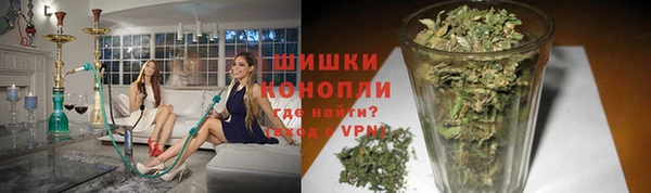 сатива Арсеньев