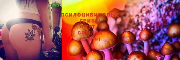 бошки Армянск