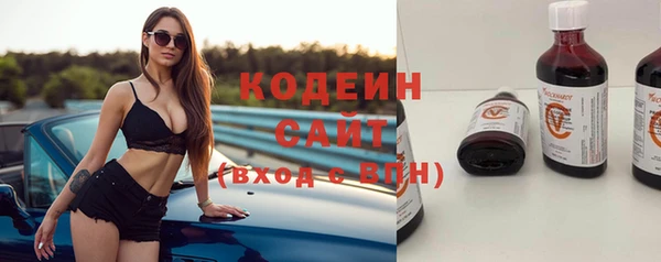 сатива Арсеньев