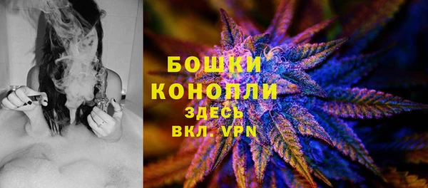 сатива Арсеньев