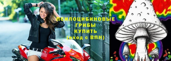 сатива Арсеньев