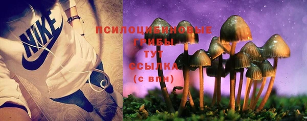 сатива Арсеньев