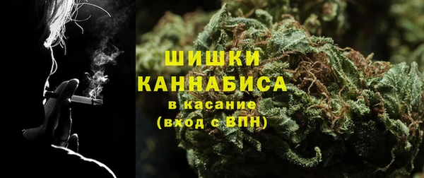 сатива Арсеньев
