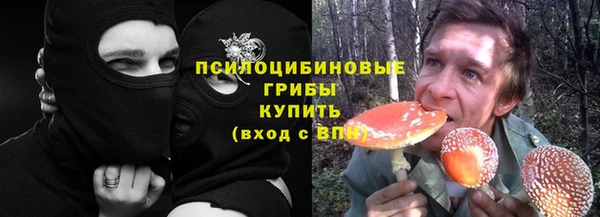 бошки Армянск