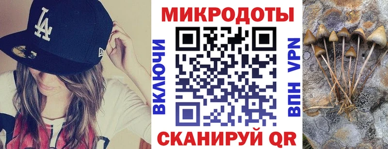 Псилоцибиновые грибы Cubensis  купить   Аркадак 